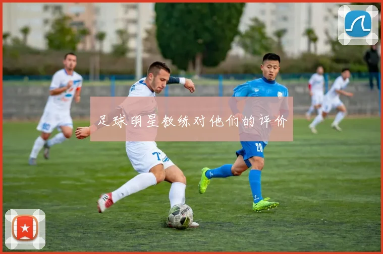 足球明星教练对他们的评价