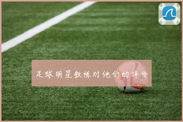 足球明星教练对他们的评价